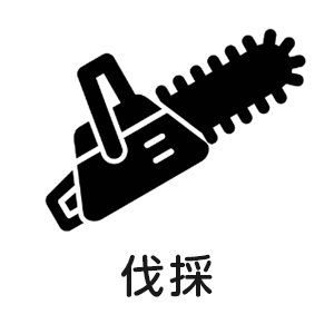 伐採