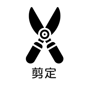 剪定