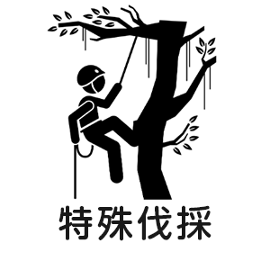 特殊伐採